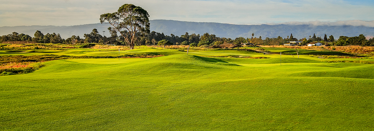 Baylands Golf Links Hole 14