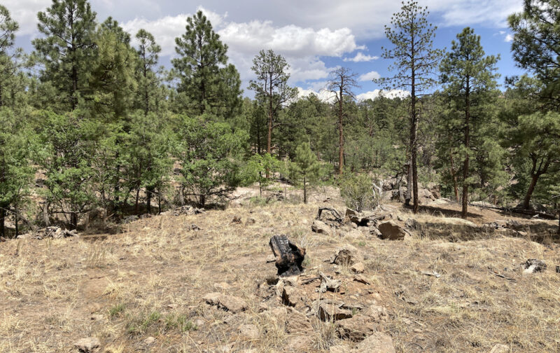 Los Alamos Golf Course — New Mexico (Before)